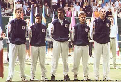 2001 Davis Cup final: French team (2001 Davis Cup final)