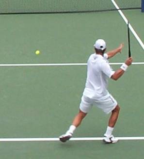 David Nalbandian (2003 US Open)