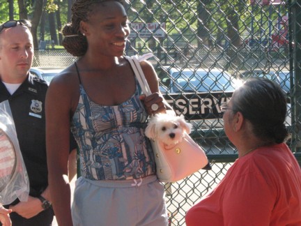 Venus Williams (2006 World Team Tennis)