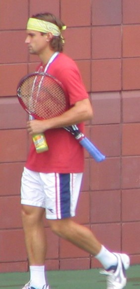 David Ferrer (2006 US Open)