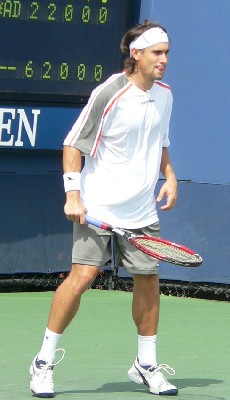 David Ferrer (2006 US Open)