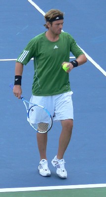 Mardy Fish (2006 US Open)