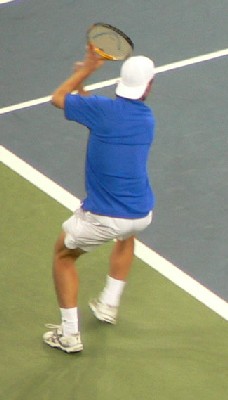 Richard Gasquet (2006 US Open)