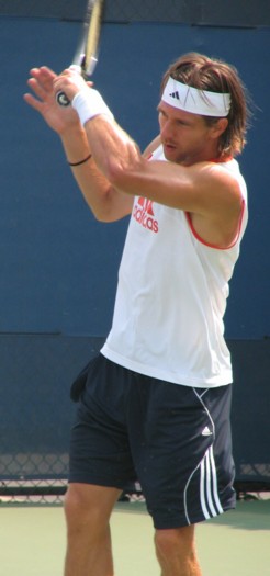 Jurgen Melzer (2007 US Open)