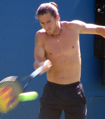 Guillermo Canas (2008 US Open)