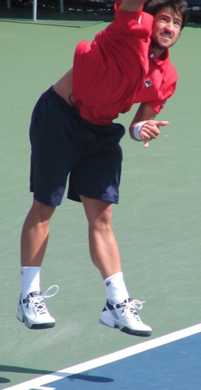 Janko Tipsarevic (2008 US Open)