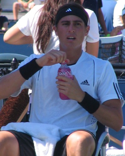 Giovanni Lapentti (2008 US Open)