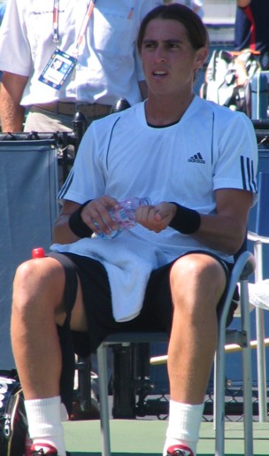 Giovanni Lapentti (2008 US Open)